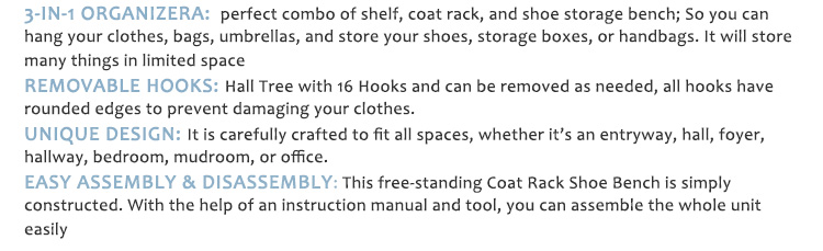 Coat Rack Organizer (2)